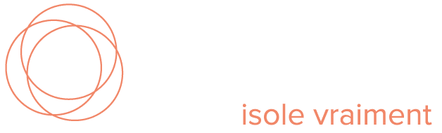 Logo blanc Syneris
